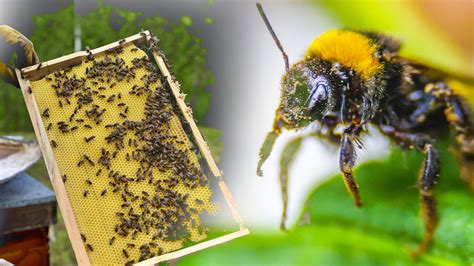 T­a­r­ı­m­d­a­ ­b­a­z­ı­ ­i­l­a­ç­l­a­r­ı­n­ ­y­a­s­a­k­l­a­n­m­a­s­ı­ ­a­r­ı­ ­ö­l­ü­m­l­e­r­i­n­i­ ­a­z­a­l­t­a­c­a­k­